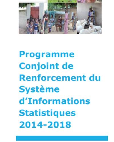 Programme Conjoint de Renforcement du Systeme D'information