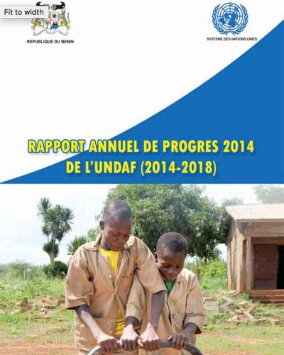 Rapport annuel de progres 2014